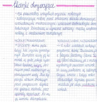 Know Tkanki okrywające thumbnail