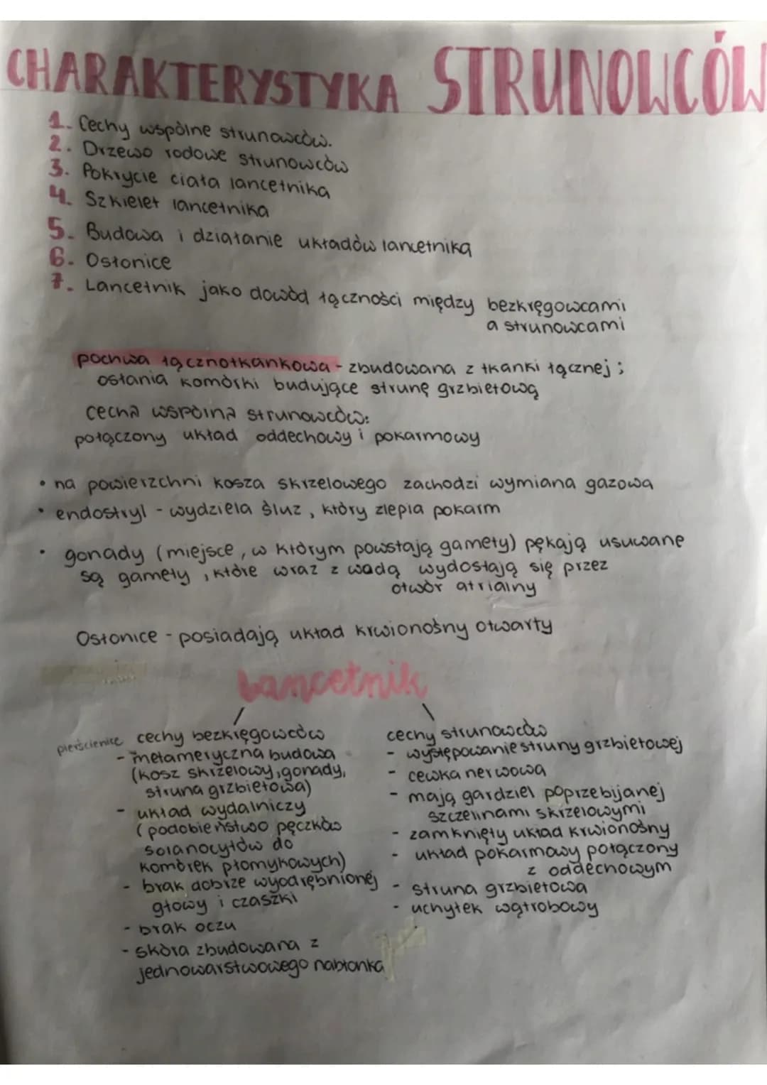 CHARAKTERYSTYKA STRUNOLICOL
1. Cechy wspolne strunowcow.
2. Drzewo rodowe strunowcow
3. Pokrycie ciała lancetnika
4. Szkielet lancetnika
5. 