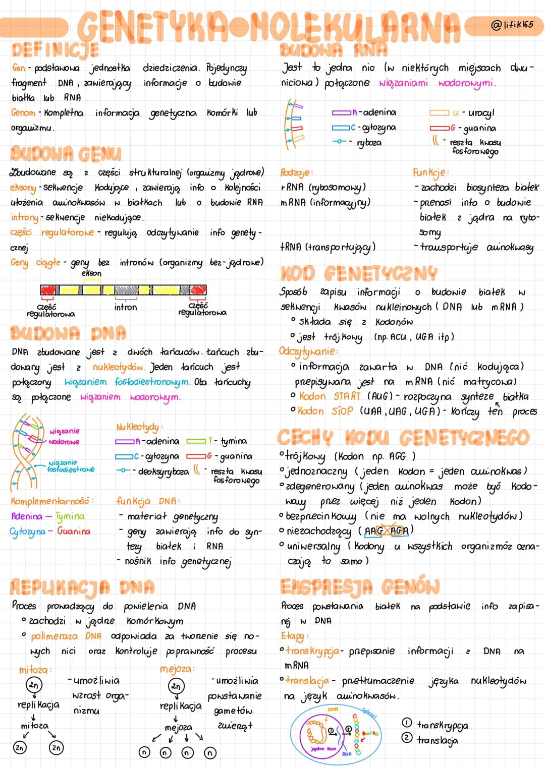 DEFINICJE
Gen - podstawowa jednostka dziedziczenia. Pojedynczy
fragment DNA, zawierający informacje o budowie
białka lub RNA
Genom - Komplet