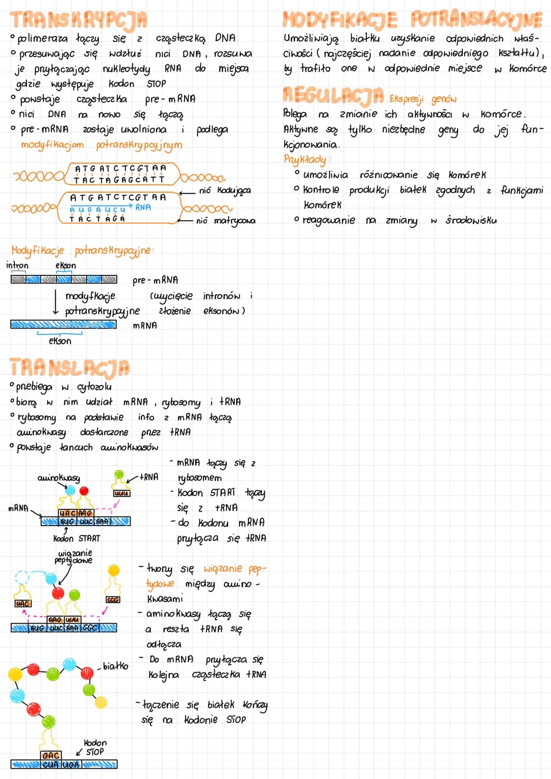 DEFINICJE
Gen - podstawowa jednostka dziedziczenia. Pojedynczy
fragment DNA, zawierający informacje o budowie
białka lub RNA
Genom - Komplet