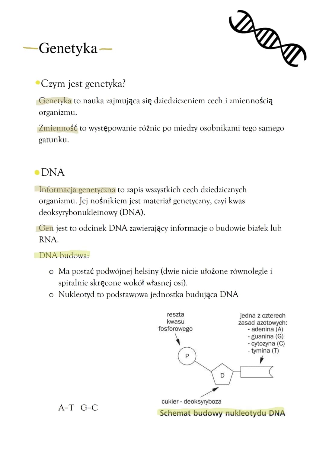 Genetyka-
Czym jest genetyka?
Genetyka to nauka zajmująca się dziedziczeniem cech i zmiennością
organizmu.
Zmienność to występowanie różnic 