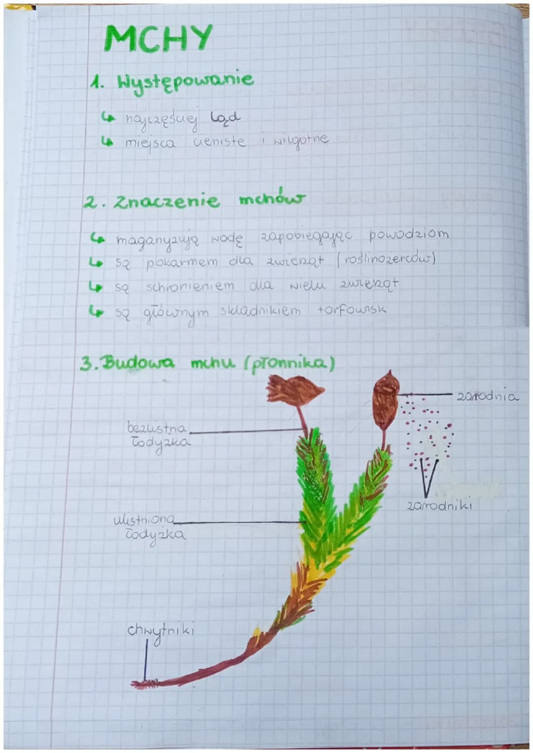 KLASA V DZIAK III
Bakterie, Hirusy, Protisty i
BAKTERIE
grzyby
1. Bakterie to organizmy jednokomorkowe (nie mają
jądra komórkowego
2. Budava
