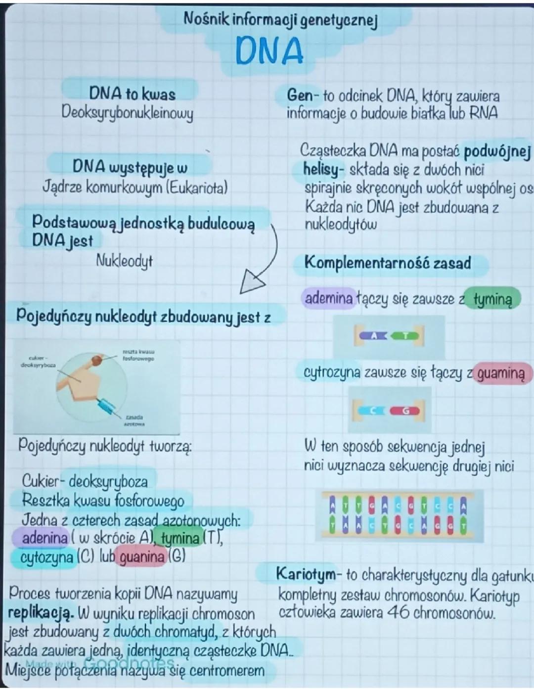 Nośnik informacji genetycznej DNA