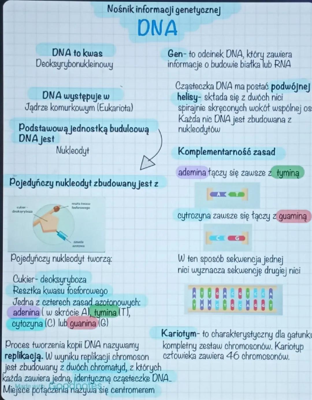 Nośnik informacji genetycznej
DNA to kwas
Deoksyrybonukleinowy
DNA występuje w
Jądrze komurkowym (Eukariota)
DNA
Podstawową jednostką budulc
