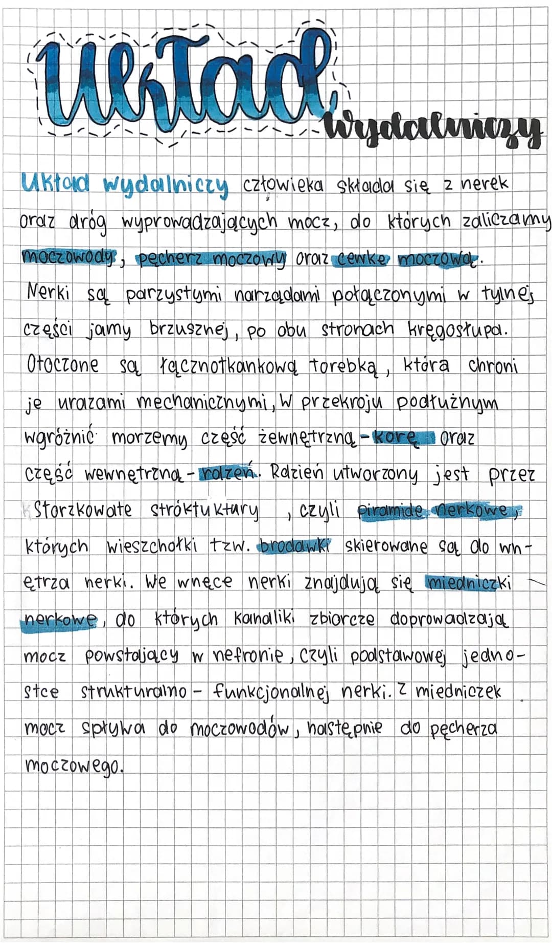 Westad
Wijetalniczy
Układ wydalniczy człowieka składa się z nerek
oraz drog wyprowadzających mocz, do których zaliczamy
moczowody, pęcherz m