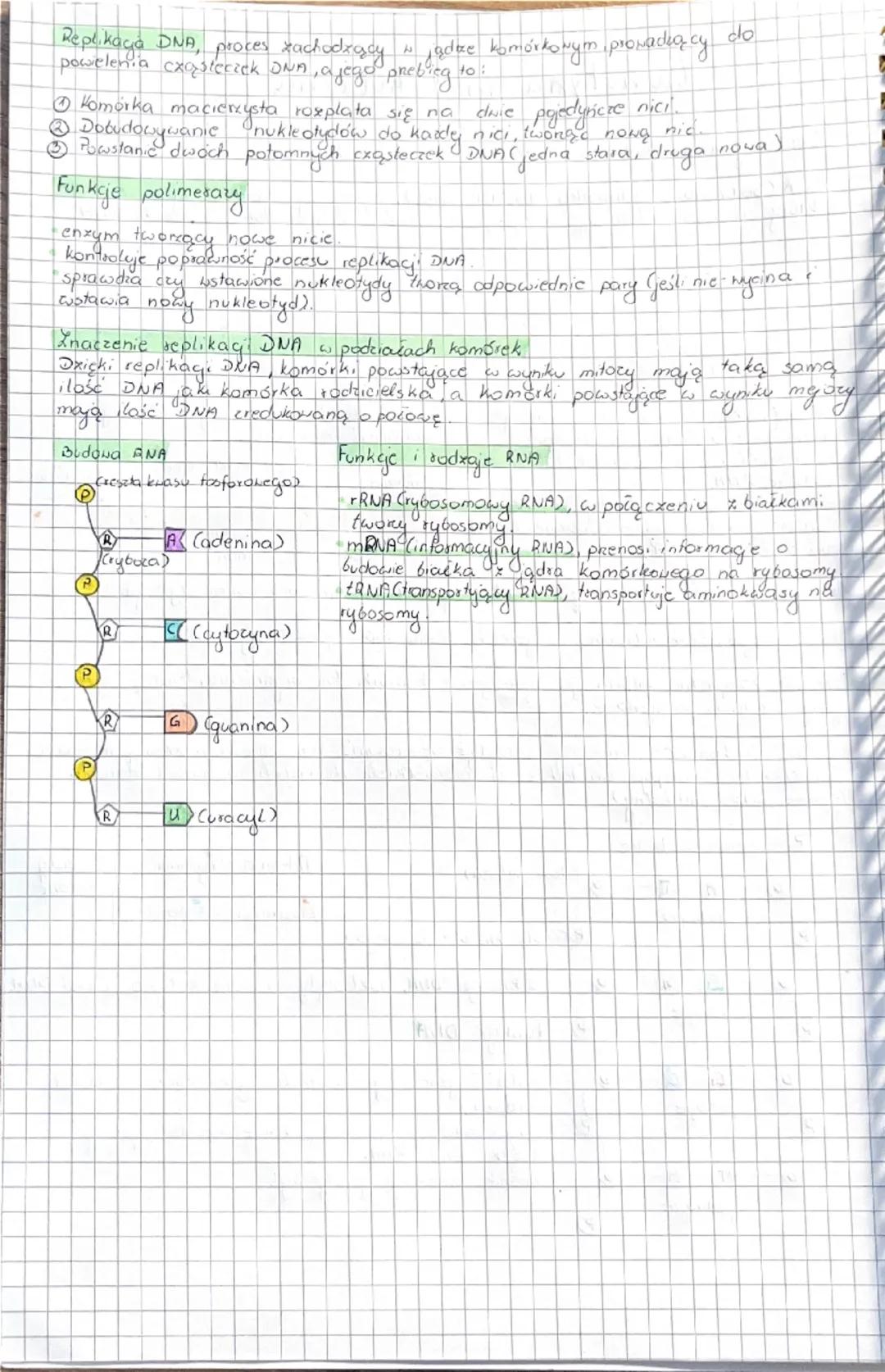 Genetyka molekularna
Gen a genom. Budowa i rola kwasów nukleinowych
Gen (podstawowa jednostka dziedziczenia), pojedynczy gen to fragment DNA