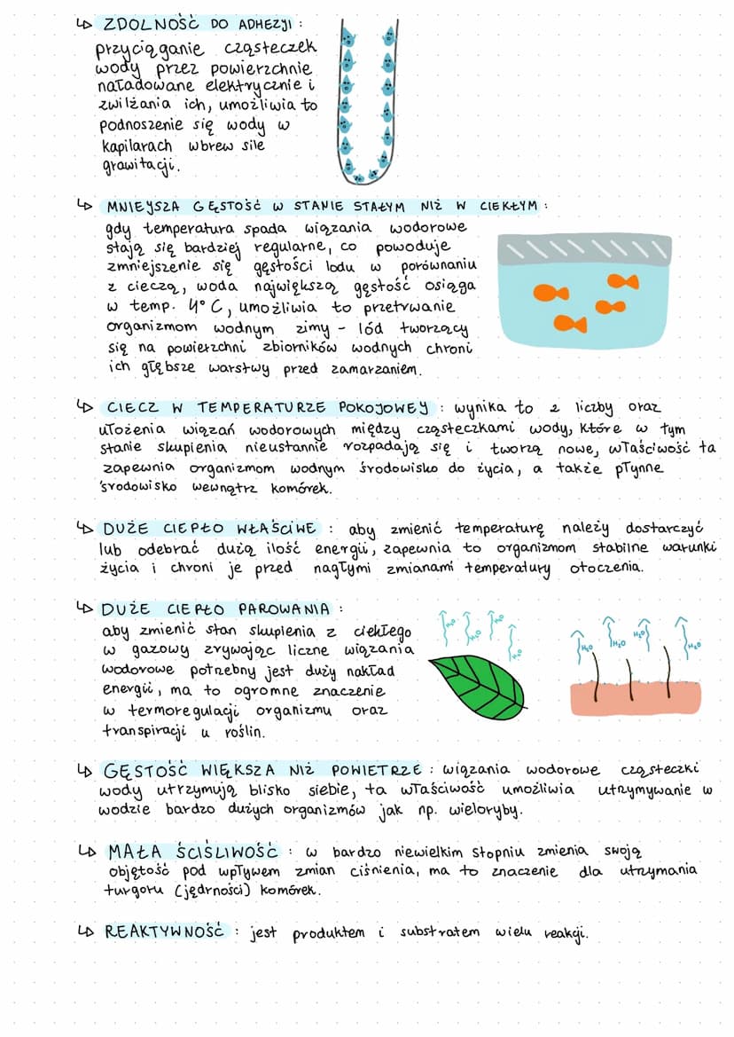 سعيد
woda
Chonas
związek nie organiczny, którego śvednia ilość w organizmie wynosi 60-70%,
jest to substancja elektrycznie i chemicznie oboj