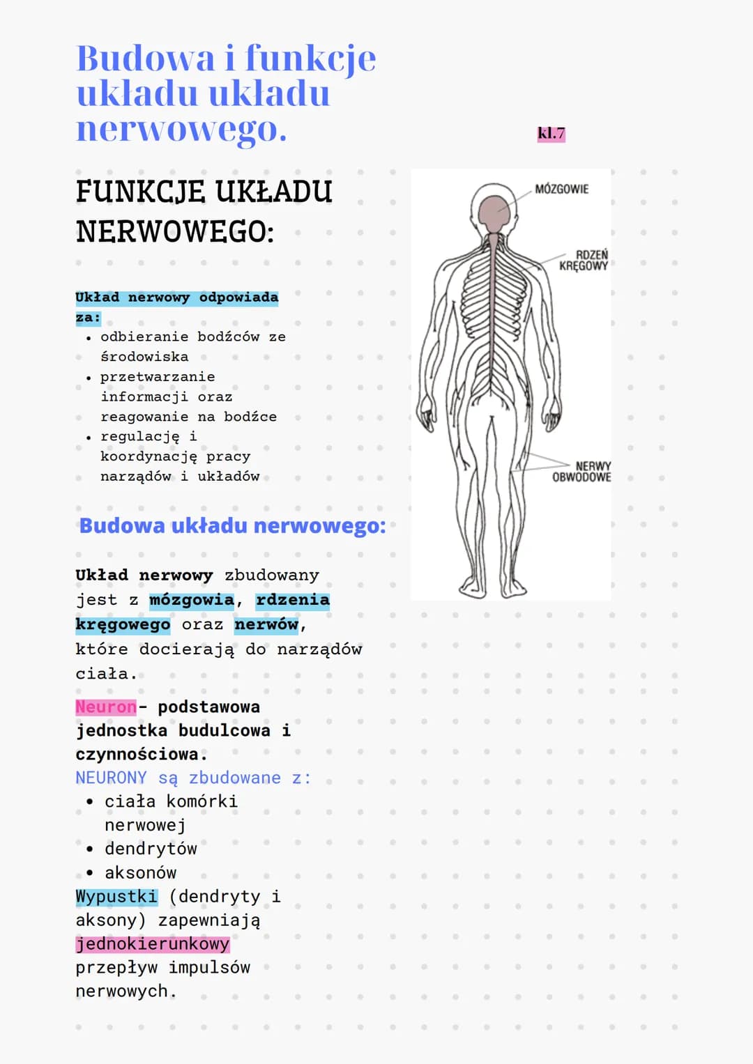 Budowa i funkcje
układu układu
nerwowego.
FUNKCJE UKŁADU
NERWOWEGO:
Układ nerwowy odpowiada
za:
●
odbieranie bodźców ze
środowiska .
przetwa
