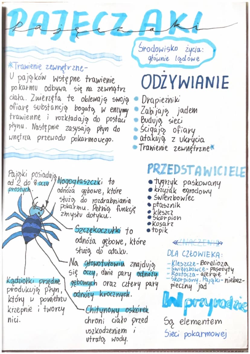 CECHY
STAWONOGÓW
ROZMIARY
Roztocza
0,5mm
Krab olbrzymi
20 kg
(odnóża 2m)
Stawy-
Ruchome połączenia
części szkieletu.
Opanowały
wszystkie
typ