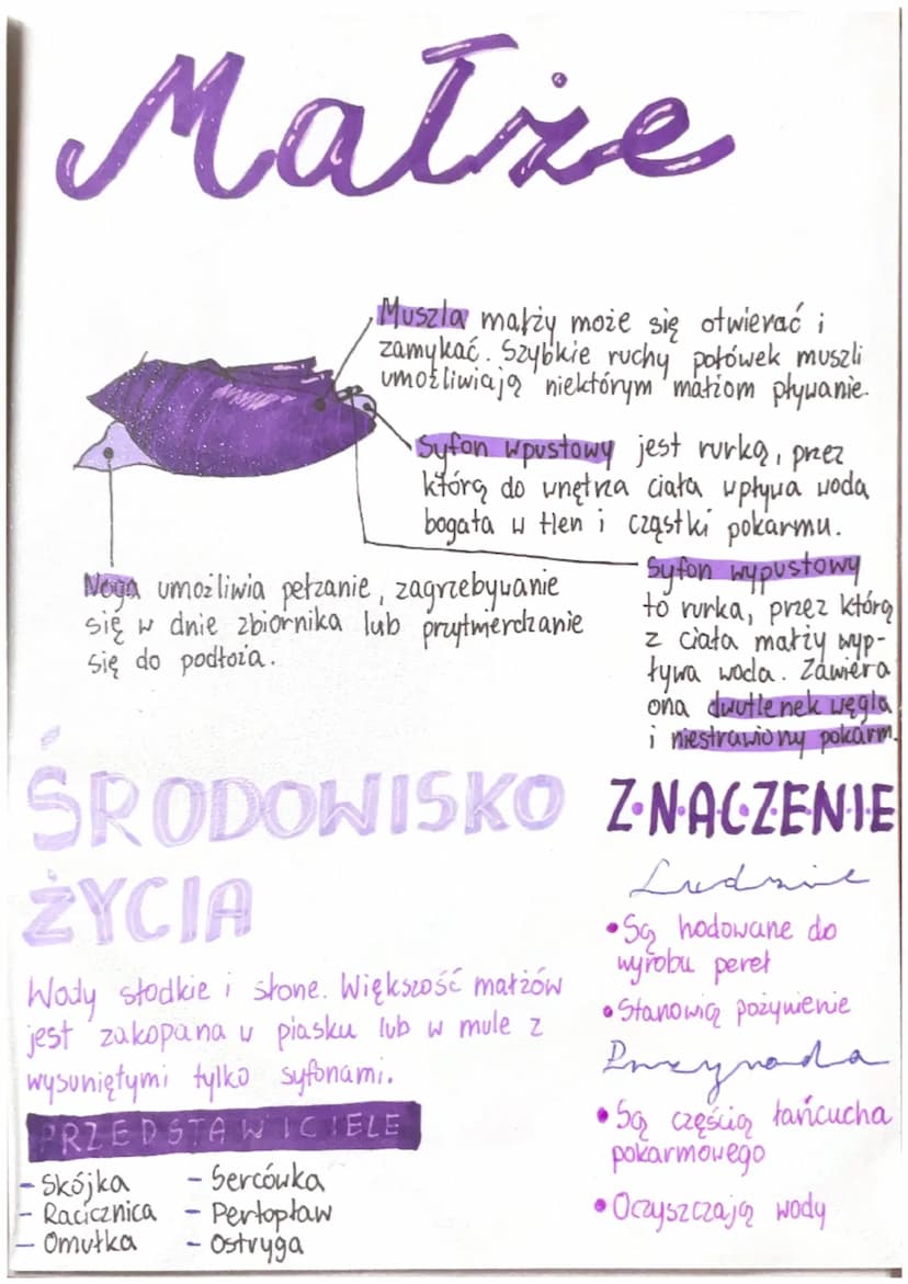 CECHY
STAWONOGÓW
ROZMIARY
Roztocza
0,5mm
Krab olbrzymi
20 kg
(odnóża 2m)
Stawy-
Ruchome połączenia
części szkieletu.
Opanowały
wszystkie
typ