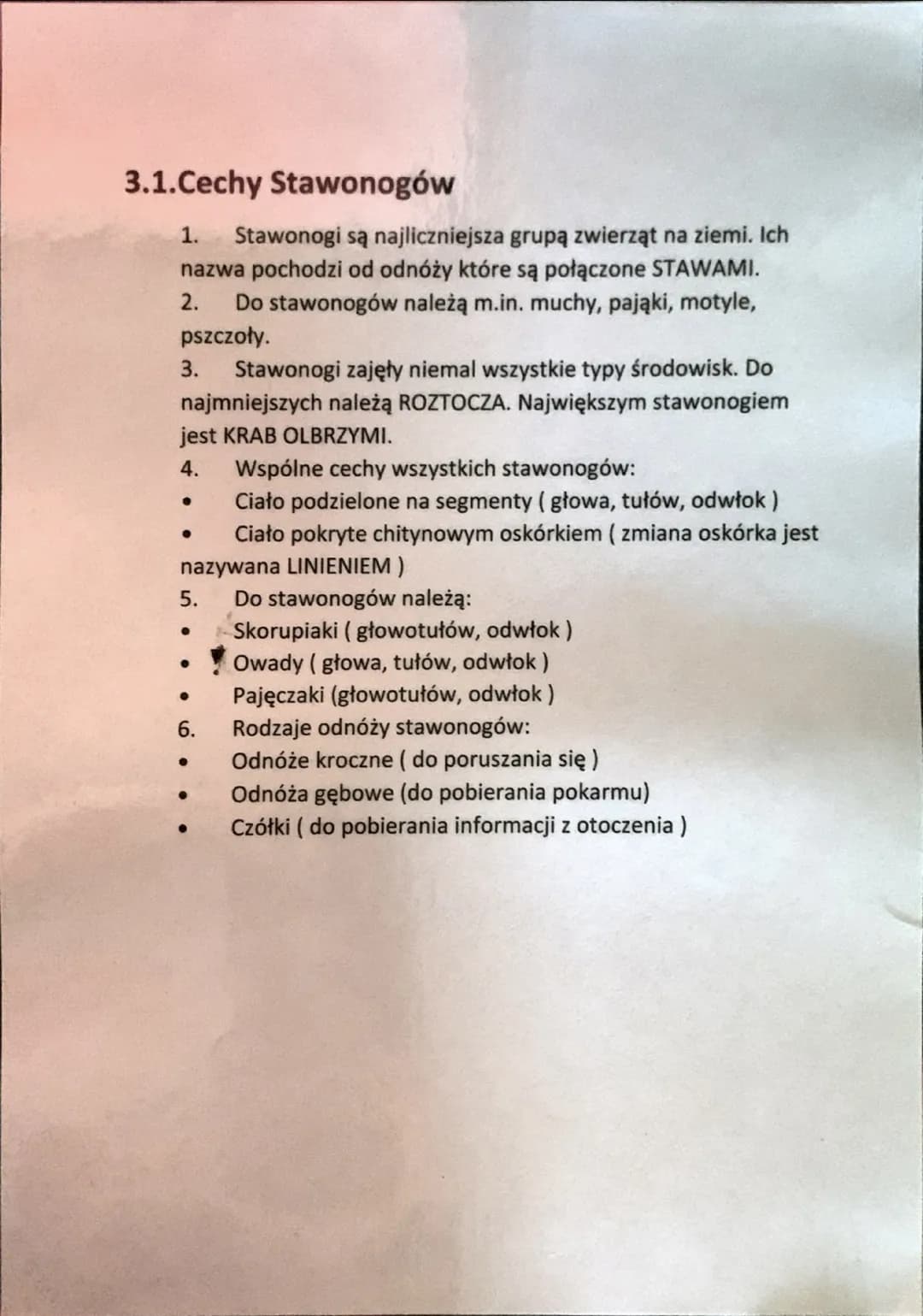 Stawonogi i mięczaki