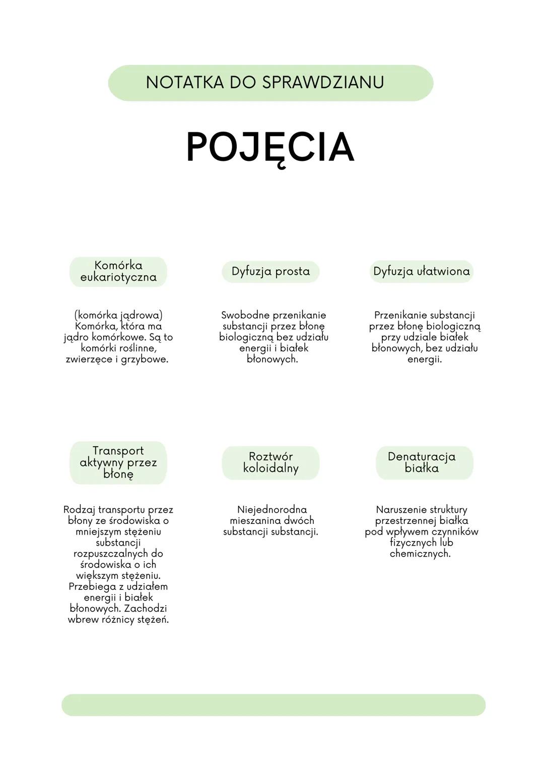 NOTATKA DO SPRAWDZIANU
KOMÓRKA ROŚLINNA
Rybosomy
To miejsce, w którym
odbywa się synteza
białek.
Siateczka
śródplazmatyczna
szorstka
Ta siat