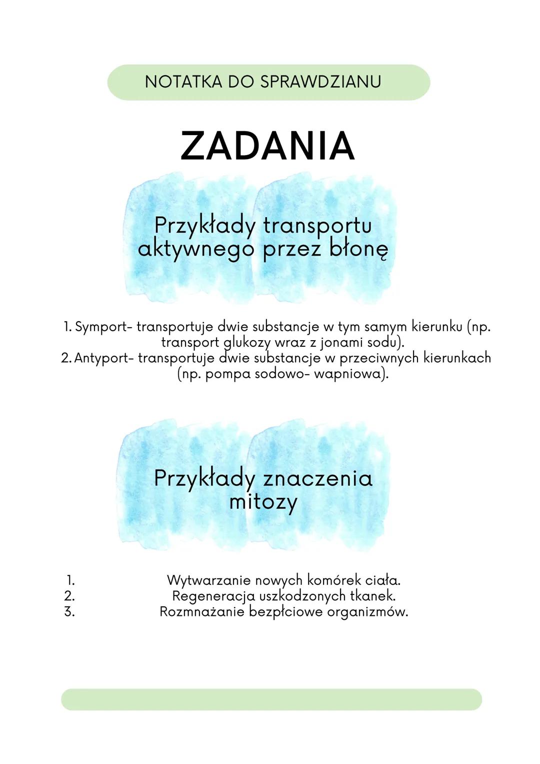 NOTATKA DO SPRAWDZIANU
KOMÓRKA ROŚLINNA
Rybosomy
To miejsce, w którym
odbywa się synteza
białek.
Siateczka
śródplazmatyczna
szorstka
Ta siat