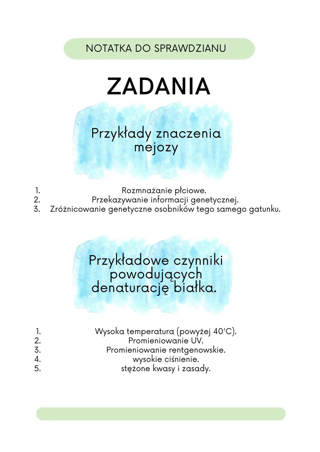 NOTATKA DO SPRAWDZIANU
KOMÓRKA ROŚLINNA
Rybosomy
To miejsce, w którym
odbywa się synteza
białek.
Siateczka
śródplazmatyczna
szorstka
Ta siat