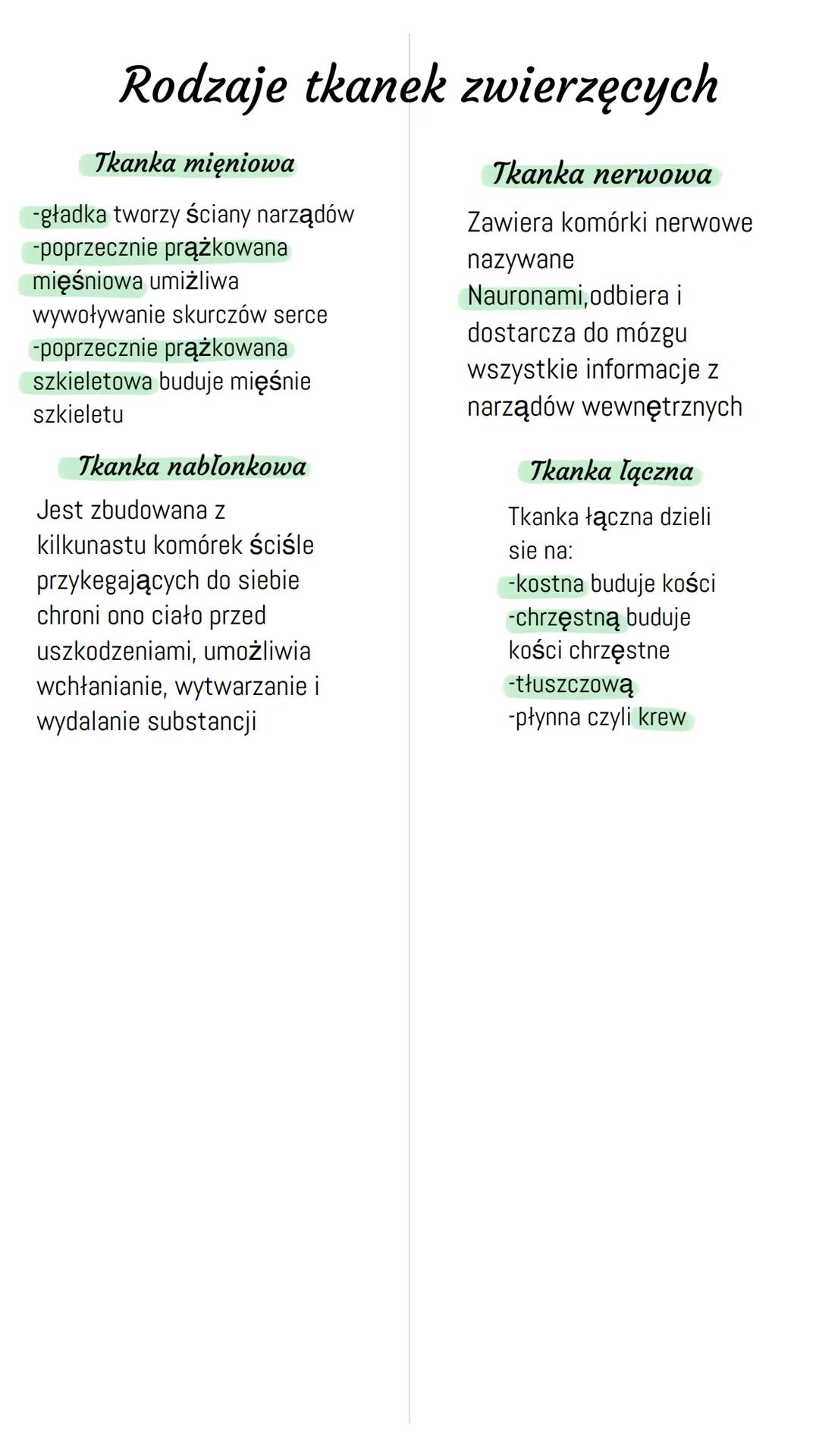Rodzaje tkanek zwierzęcych
Tkanka mięniowa
-gładka tworzy ściany narządów
-poprzecznie prążkowana
mięśniowa umiżliwa
wywoływanie skurczów se