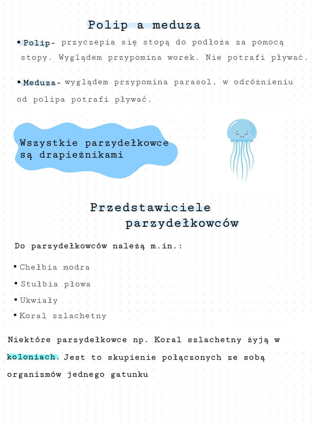 I
Parzydełkowce
Środowisko życia
Żyją wyłącznie w środowisku wodnym, głównie w morzach
i oceanach
▪ Parzydełkowce to najprostsze zwierzęta t