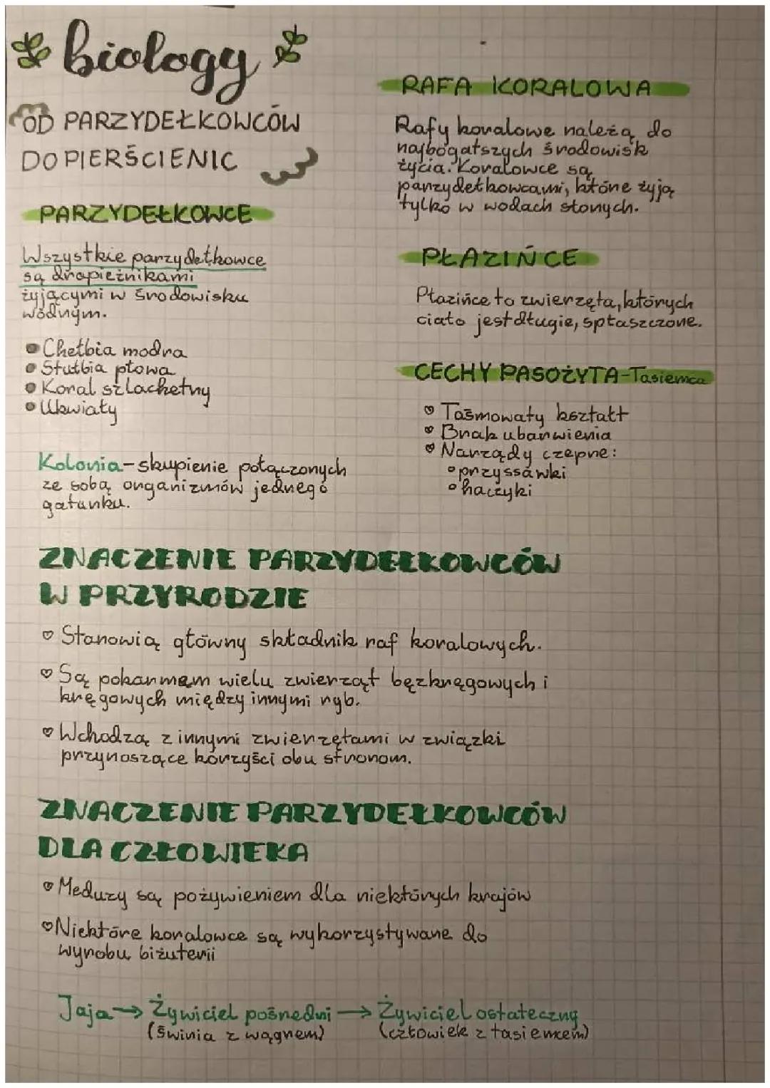 Odkrywamy życie podwodne: Od parzydełkowców po pierścienice