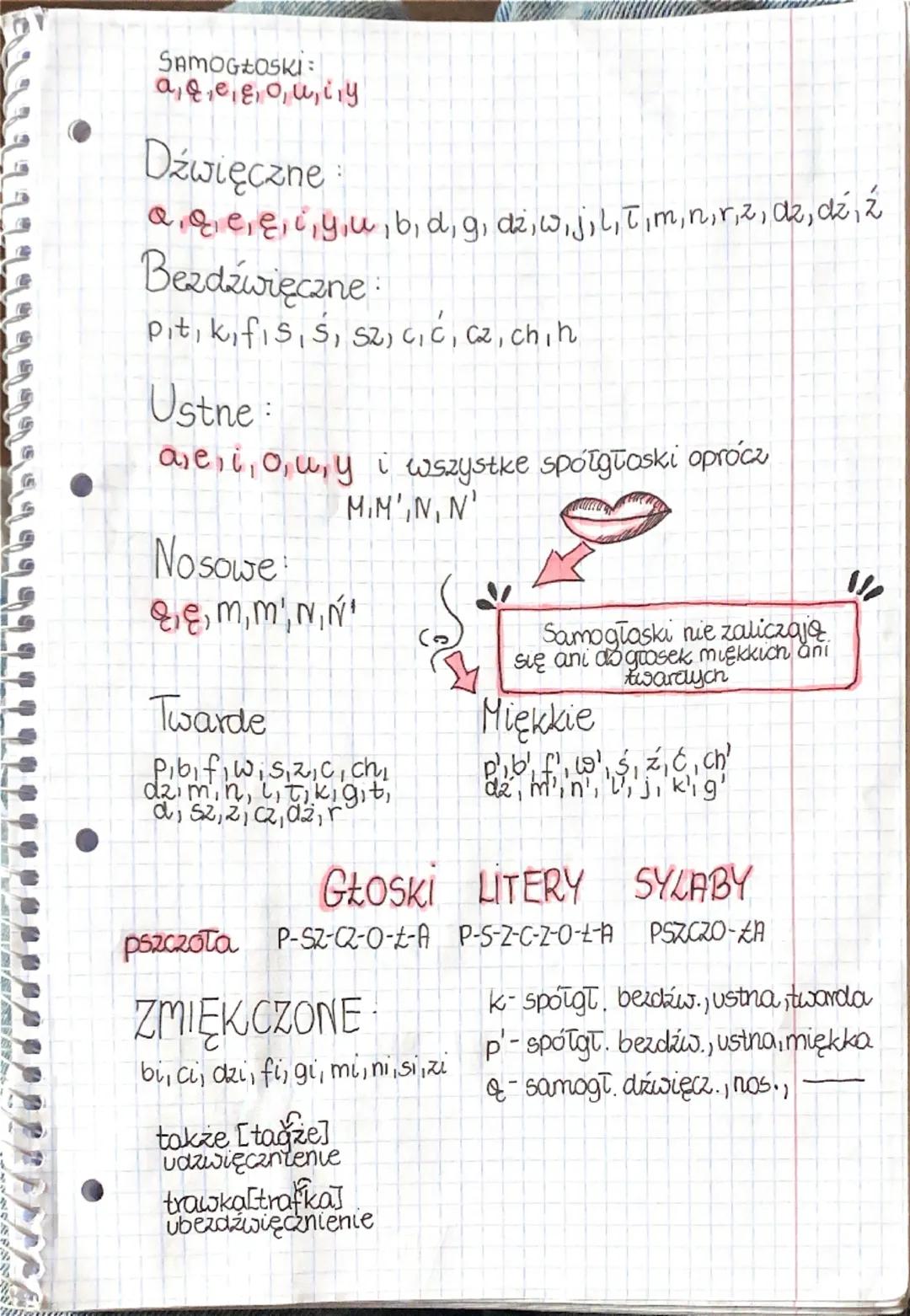 SAMOGŁOSKI:]
a qe ε oui y
Dźwięczne
a, qe, e, i, yu, b, d, g, dz, w, j, L, T, m, n, r, z, az, dz², ź
Bezdźwięczne:
pit, kifis,s, sz, c, c, c