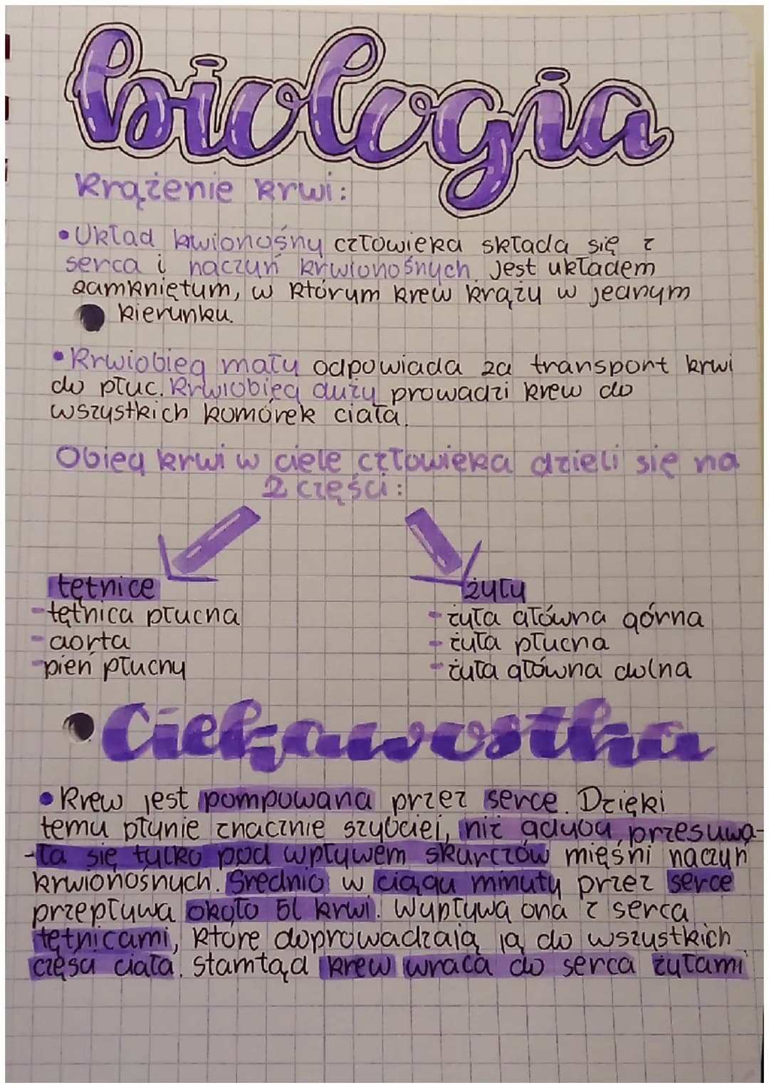 io
Krążenie krwi:
•Uklad kwionośny człowieka składa się z
serca i naczyń krwionośnych. Jest układem
samkniętum, w którum krew krąży w jeanym