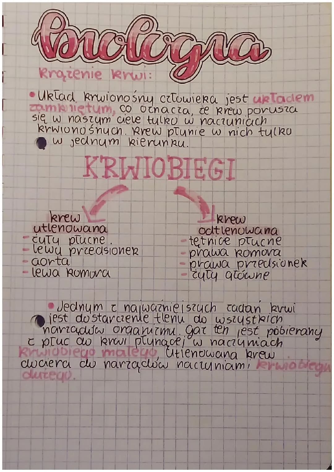 io
Krążenie krwi:
•Uklad kwionośny człowieka składa się z
serca i naczyń krwionośnych. Jest układem
samkniętum, w którum krew krąży w jeanym
