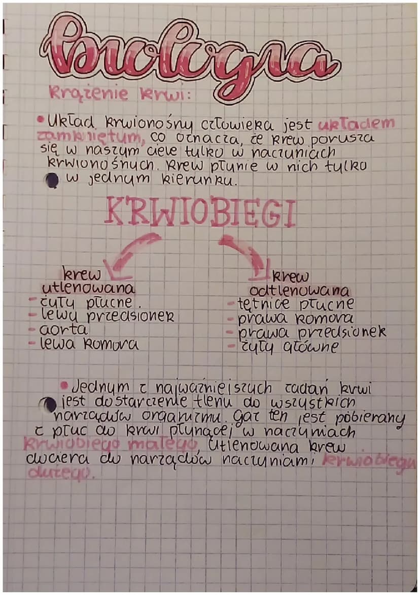 io
Krążenie krwi:
•Uklad kwionośny człowieka składa się z
serca i naczyń krwionośnych. Jest układem
samkniętum, w którum krew krąży w jeanym