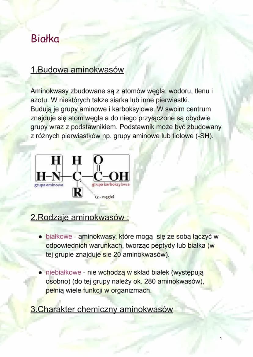
<h2 id="budowaaminokwasw">Budowa aminokwasów</h2>
<p>Aminokwasy zbudowane są z atomów węgla, wodoru, tlenu i azotu, a niektóre także zawier