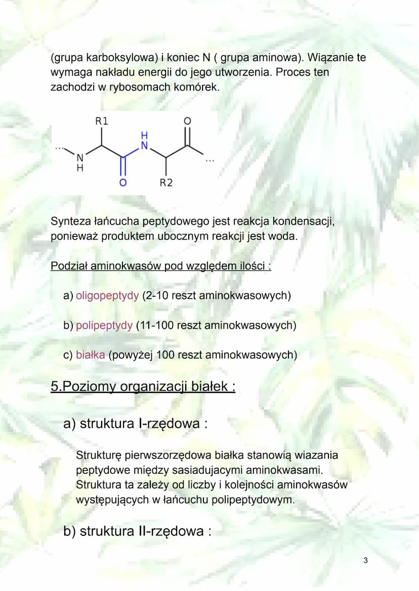 
<h2 id="budowaaminokwasw">Budowa aminokwasów</h2>
<p>Aminokwasy zbudowane są z atomów węgla, wodoru, tlenu i azotu, a niektóre także zawier