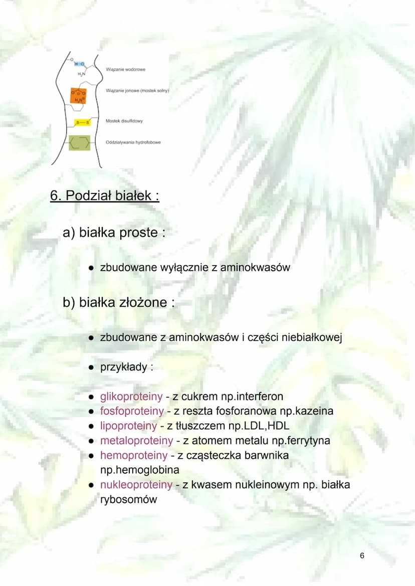 
<h2 id="budowaaminokwasw">Budowa aminokwasów</h2>
<p>Aminokwasy zbudowane są z atomów węgla, wodoru, tlenu i azotu, a niektóre także zawier