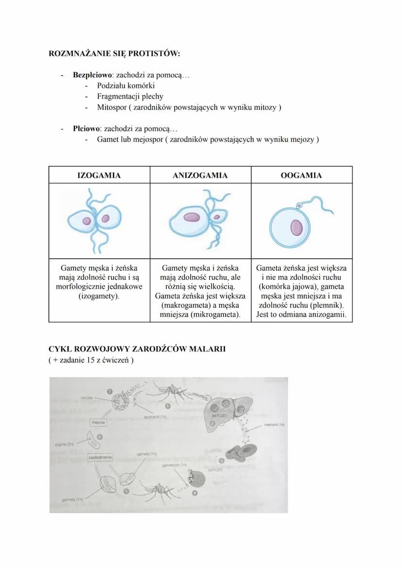 Biologia
1. KLASYFIKACJA ORGANIZMÓW
Taksonomia- zajmuje się określaniem reguł klasyfikacji i nazewnictwa systematycznego
Filogenetyka zajmuj