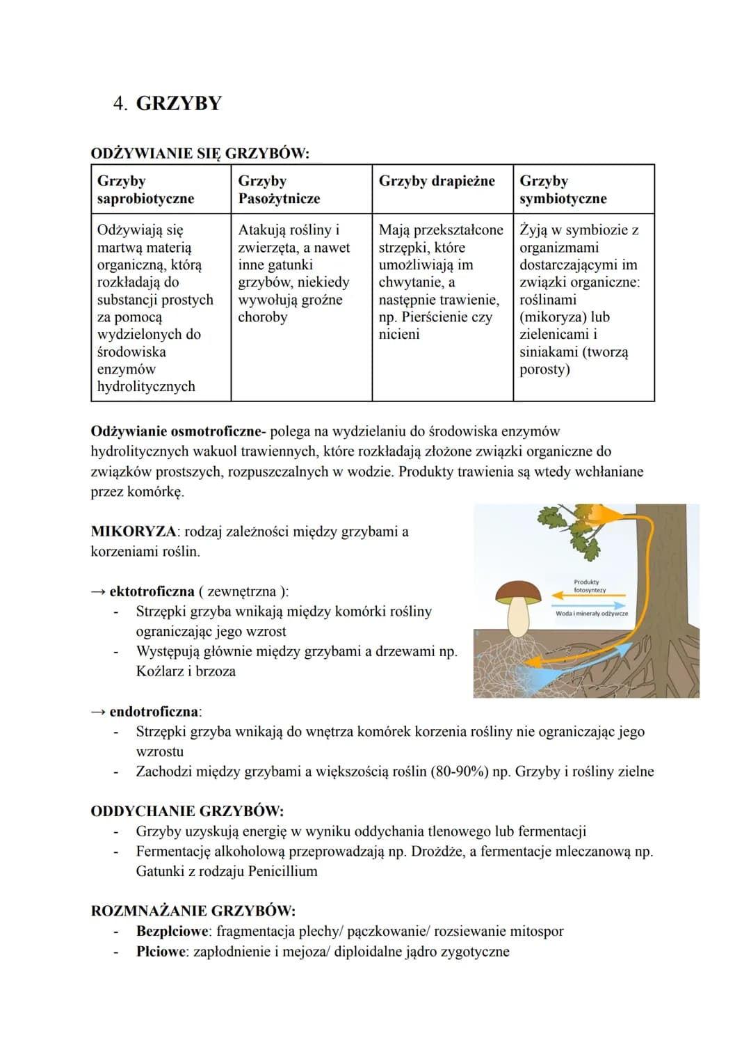 Biologia
1. KLASYFIKACJA ORGANIZMÓW
Taksonomia- zajmuje się określaniem reguł klasyfikacji i nazewnictwa systematycznego
Filogenetyka zajmuj