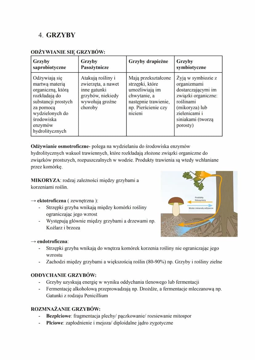 Biologia
1. KLASYFIKACJA ORGANIZMÓW
Taksonomia- zajmuje się określaniem reguł klasyfikacji i nazewnictwa systematycznego
Filogenetyka zajmuj