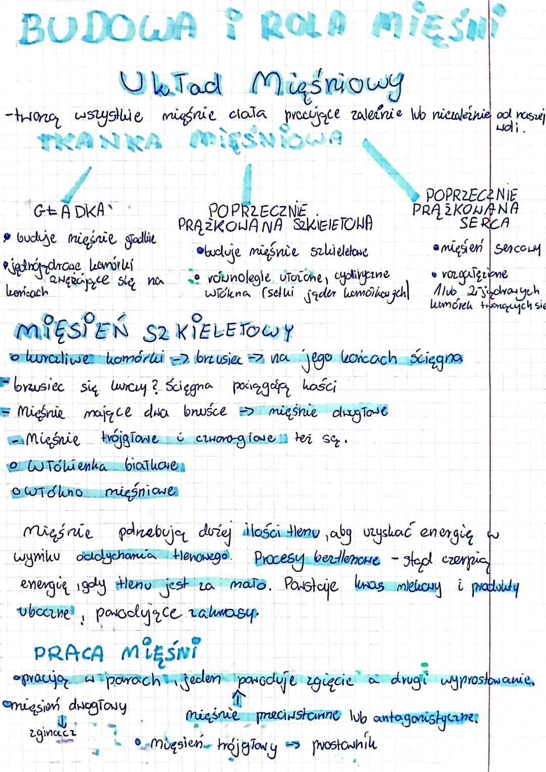 BUDOWA I ROLA MIĘŚN
Uk. Tad Mięśniowy
woli.
-twoną wszystkie mięśnie ciała procujące zalernie lub niezależnie od naszej
TRANKA MIĘŚNIOWA
GLA