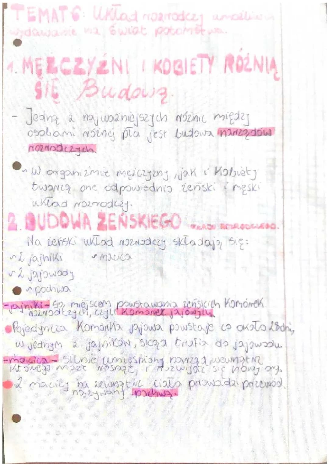 Przyroda- Układ rozrodczy (klasa 4)