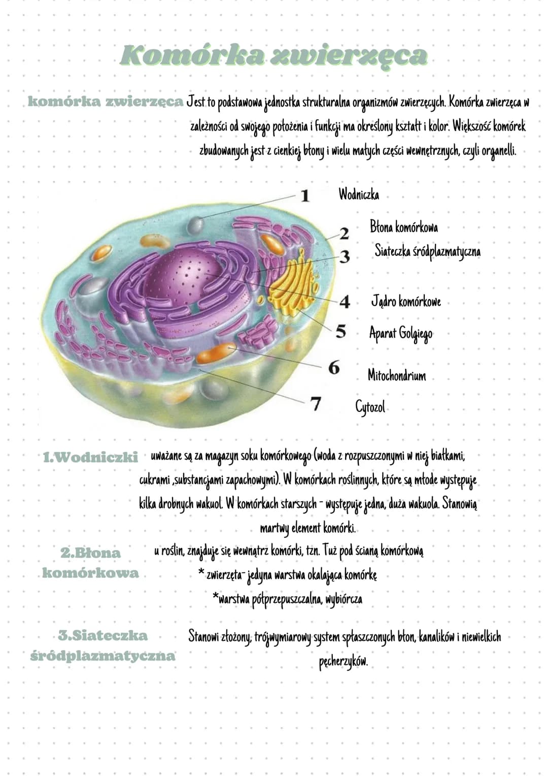 Komórka zwierzęca
komórka zwierzęca Jest to podstawowa jednostka strukturalna organizmów zwierzęcych. Komórka zwierzęca w
zależności od swoj