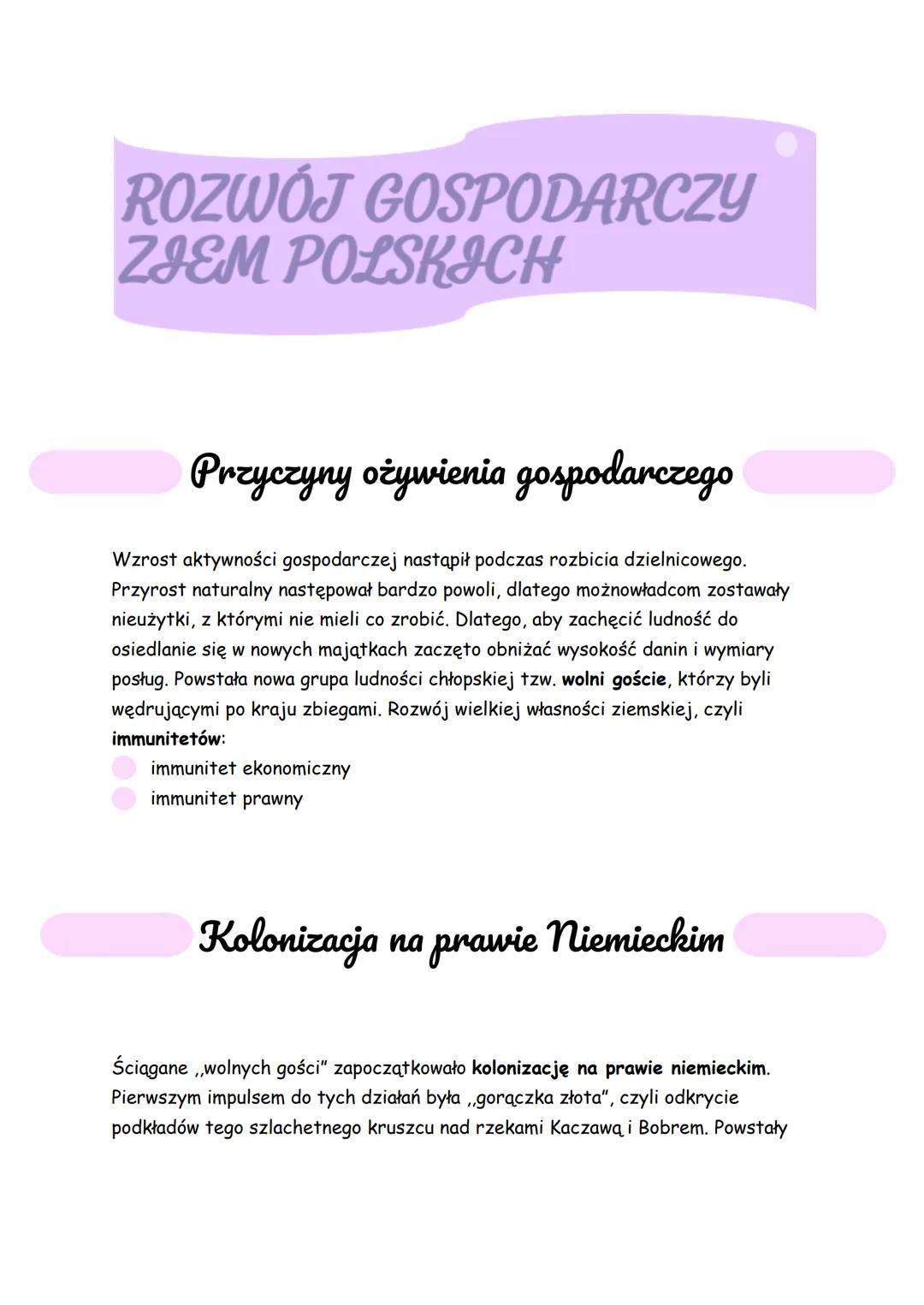 ROZWOJ GOSPODARCZY
ZIEM POLSKICH
Przyczyny ożywienia gospodarczego
Wzrost aktywności gospodarczej nastąpił podczas rozbicia dzielnicowego.
P