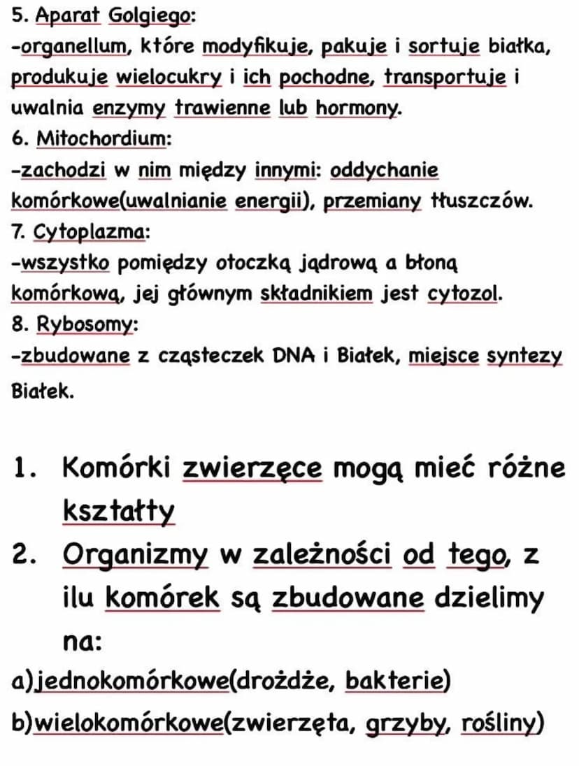 Biologia
Budowa komórki zwierzęcej
7
1. Wakuola/Wodniczka:
33-Ma
3 -Ma postać małego
4
pęcherzyka. Może
5 uczestniczyć w pochłanianiu,
6 tra