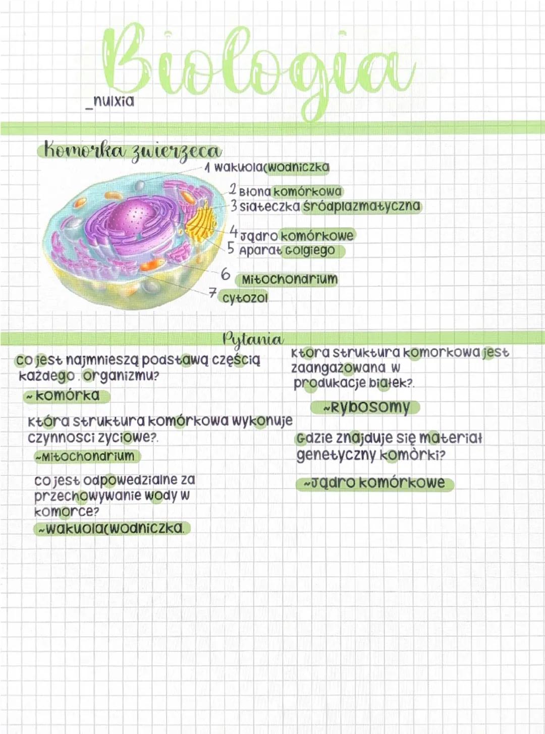 Biologia
nulxia
Komorka zwierzeca
1 wakuola(wodniczka
2 Błona komórkowa
3 siateczka śródplazmatyczna
4Jqaro komórkowe
5
Aparat Golgiego
6
Mi