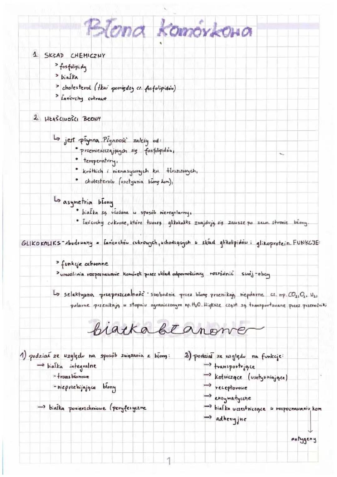 Błona komórkowa - funkcje i transport substancji