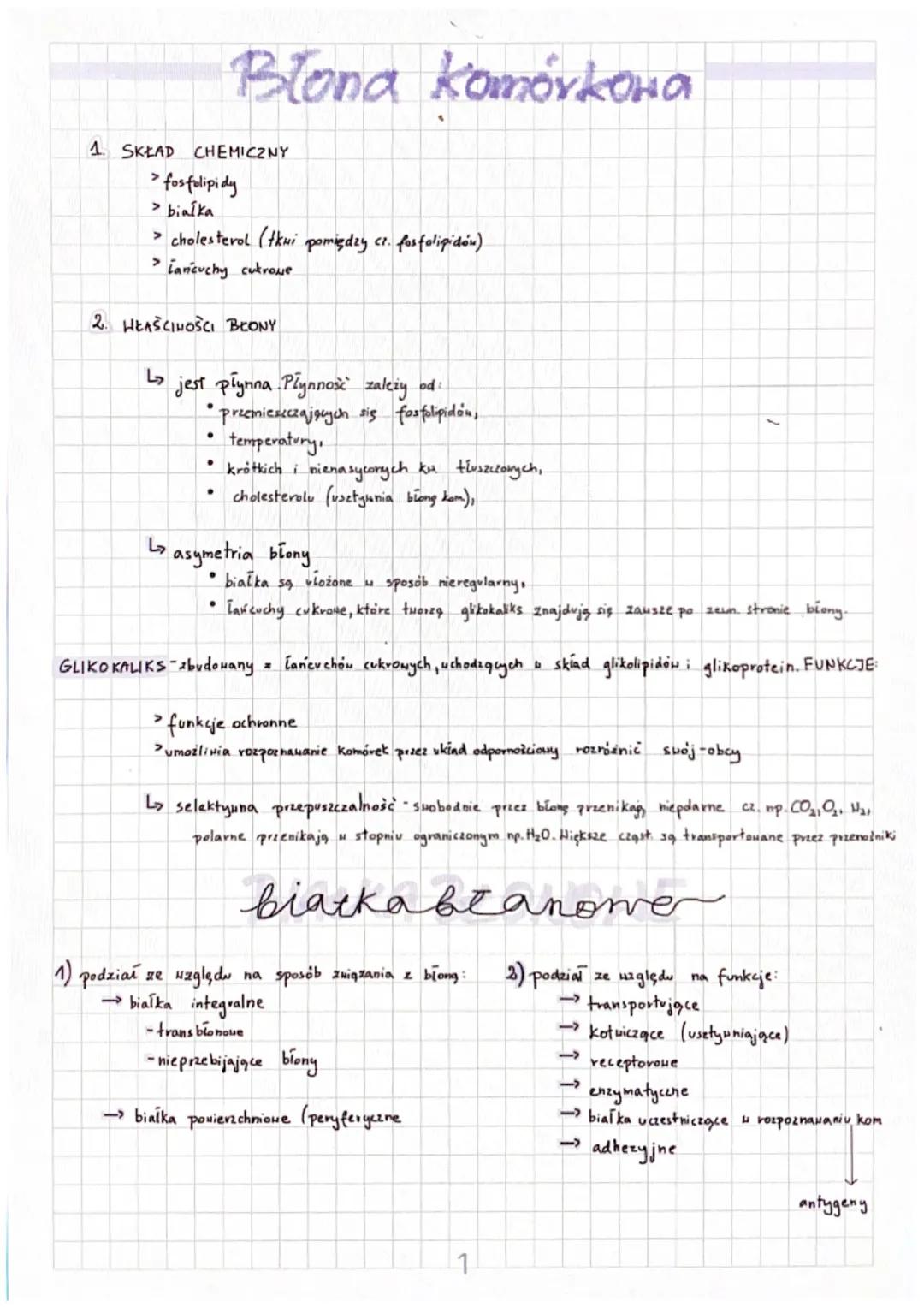 1. SKŁAD CHEMICZNY
> fosfolipidy
> białka.
> cholesterol (tkui pomiędzy cz. fosfolipidów)
>
Lańcuchy cukrowe
2. HEASCINOSCI BEONY
↳
Blona ko
