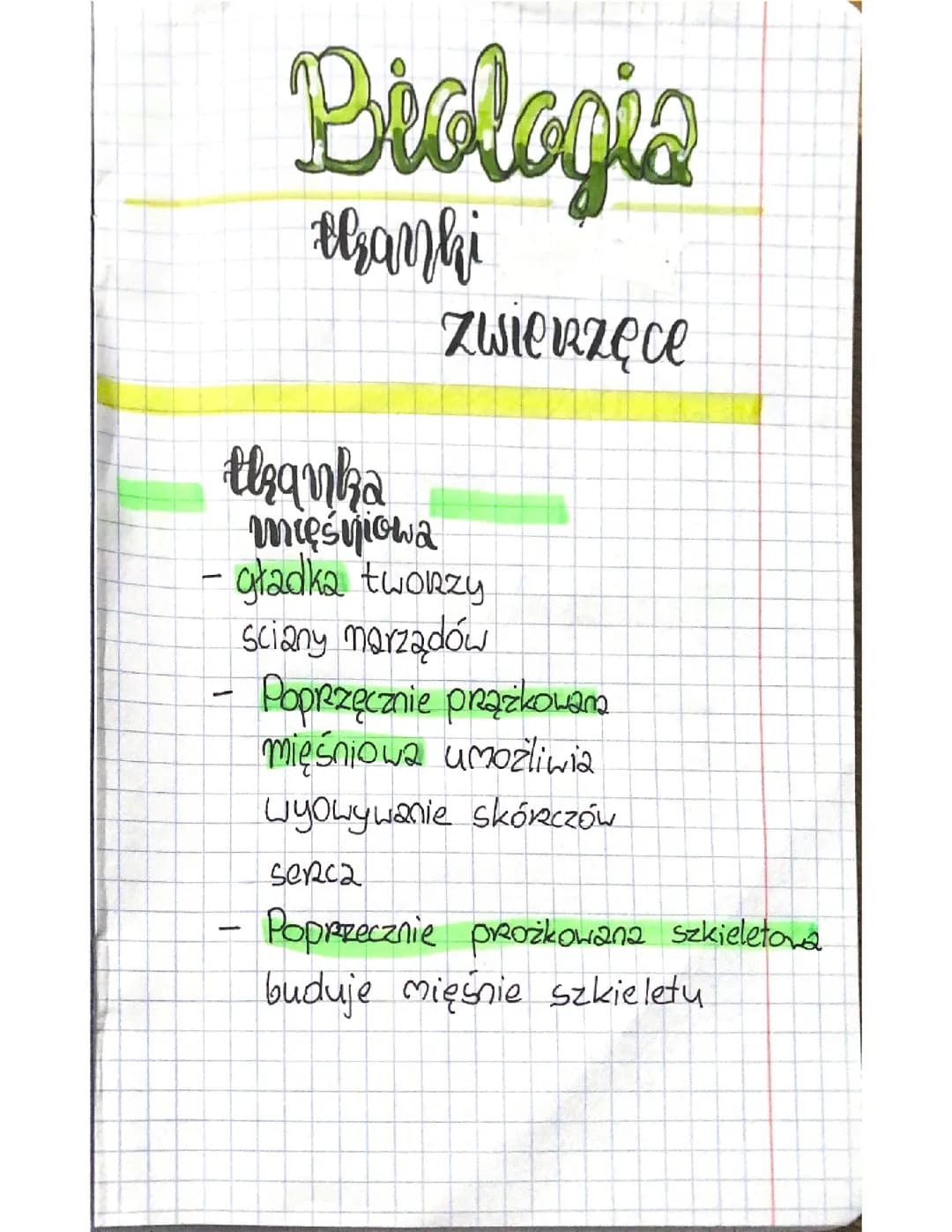 Tkanki zwierzęce 