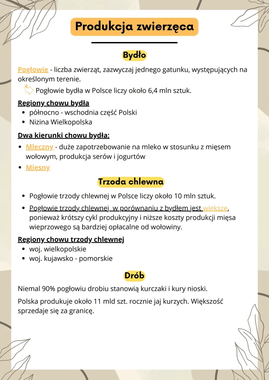 Produkcja zwierzęca
