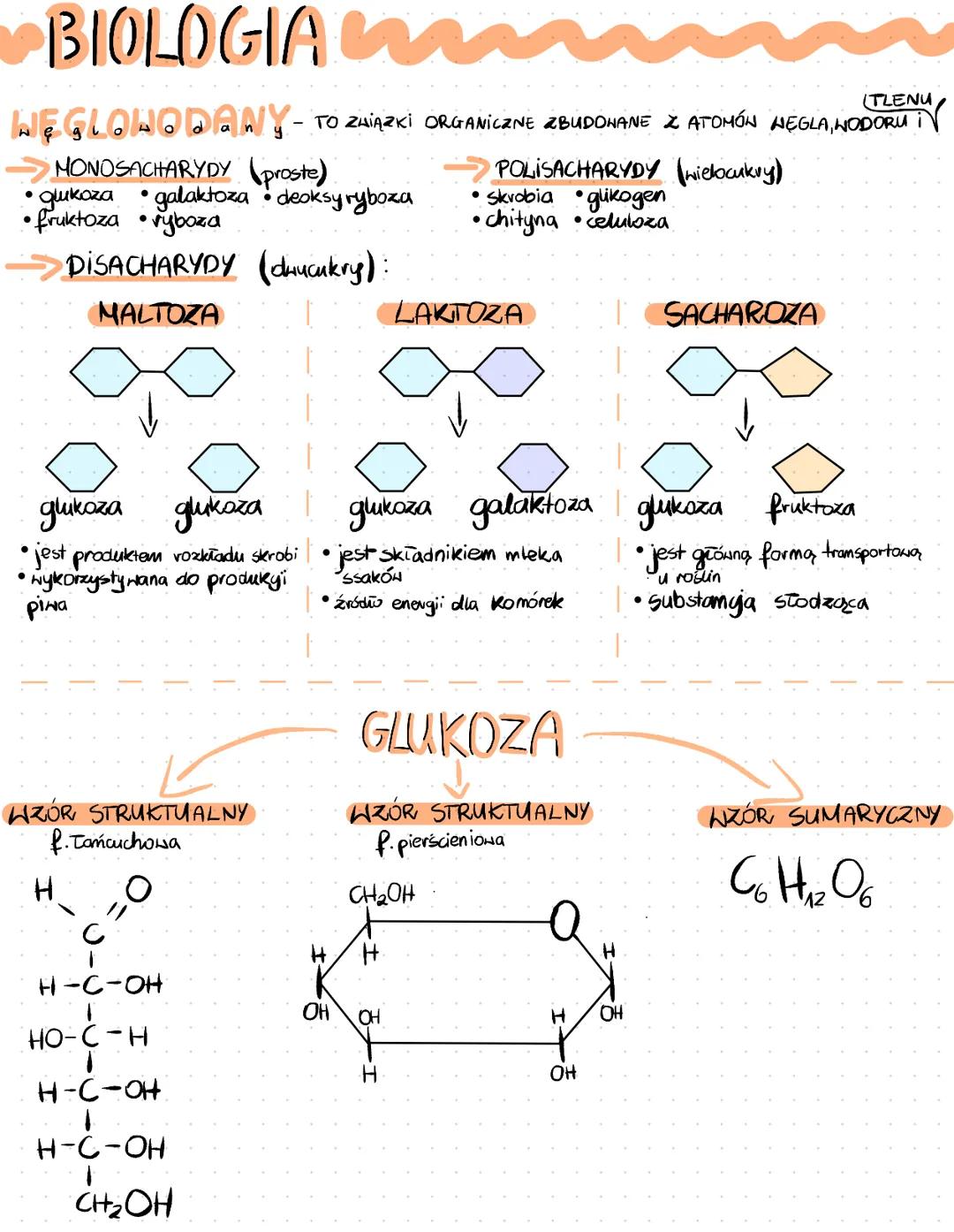 BIOLOGIA Wnn
WĘGLOWODANY-
→ MONOSACHARYDY (proste)
●
• glukoza
• fruktoza • vyboza
DISACHARYDY
MALTOZA
galaktoza deoksy ryboza
(hucukry):
WZ