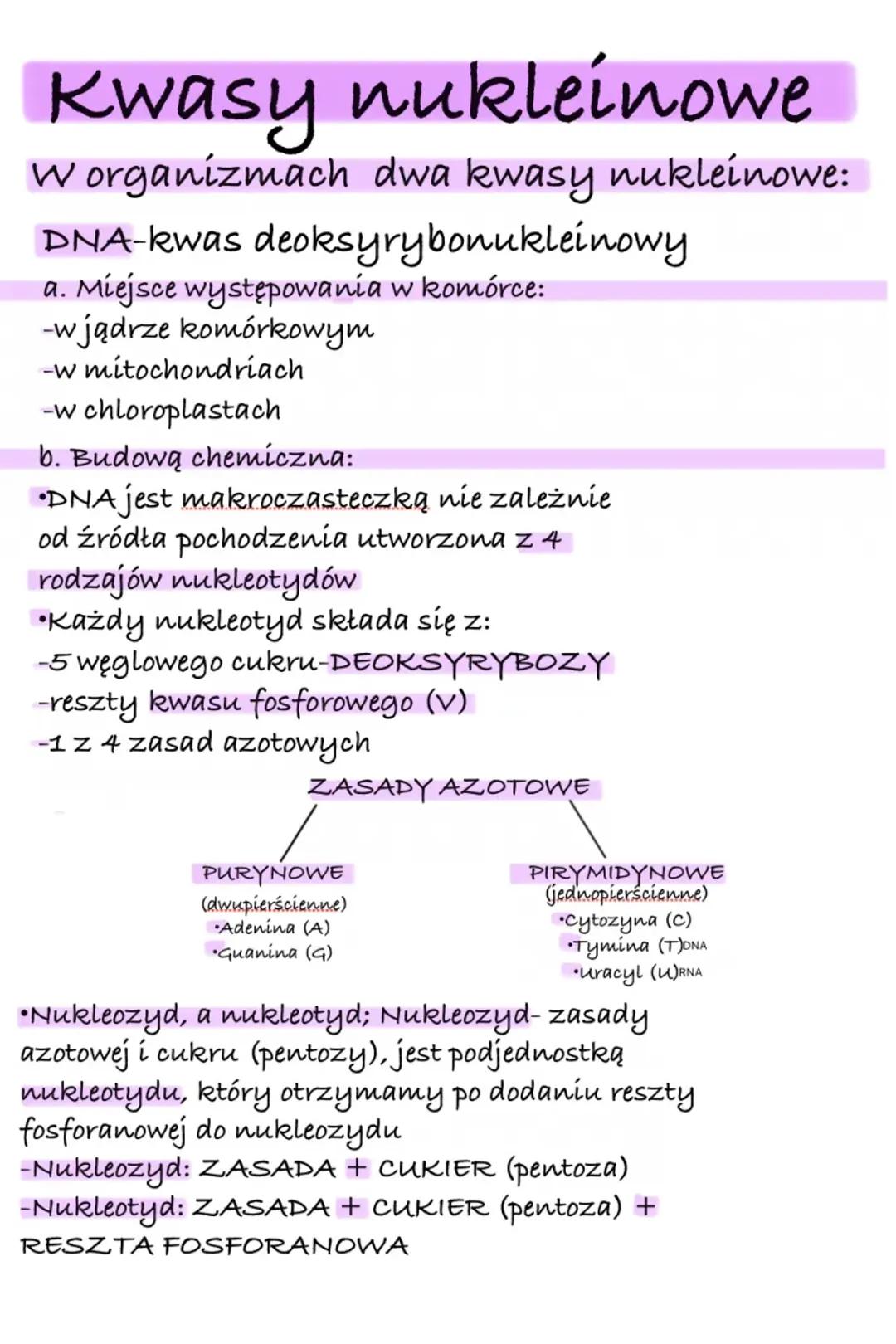Kwasy Nukleinowe: DNA i RNA - Notatka Biologiczna