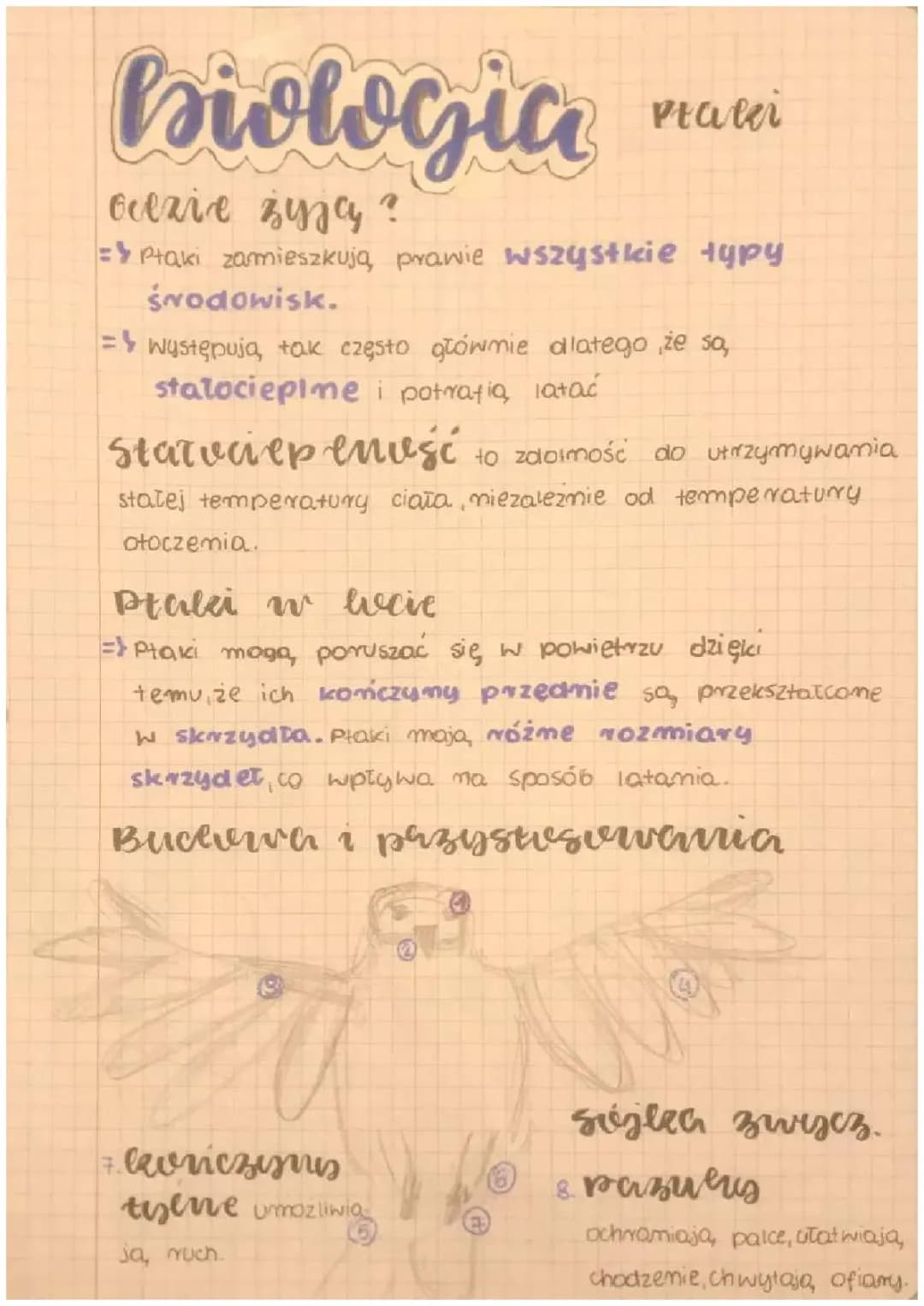 Ptaki