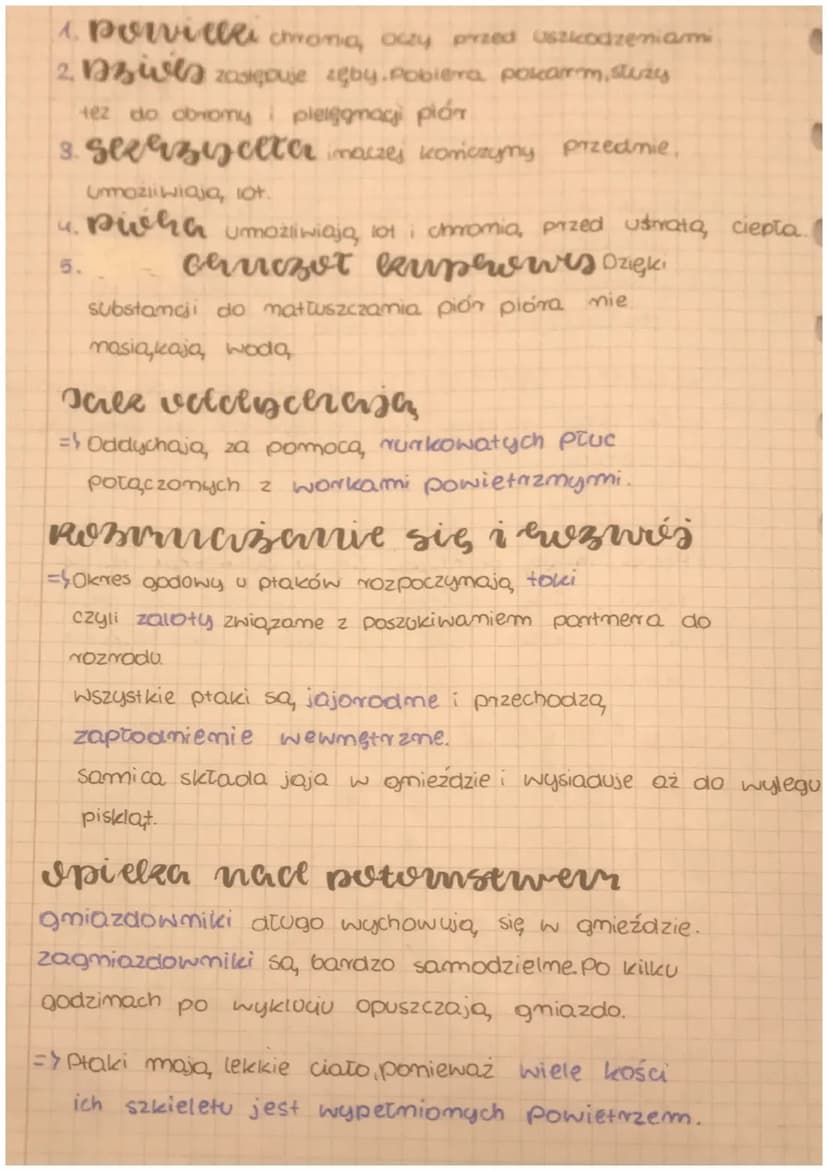 biologia
ovezie zyją?
=> Ptaki zamieszkują prawie wszystkie typy
środowisk.
=> występują tak często głównie dlatego, że są
stalocieplne i po