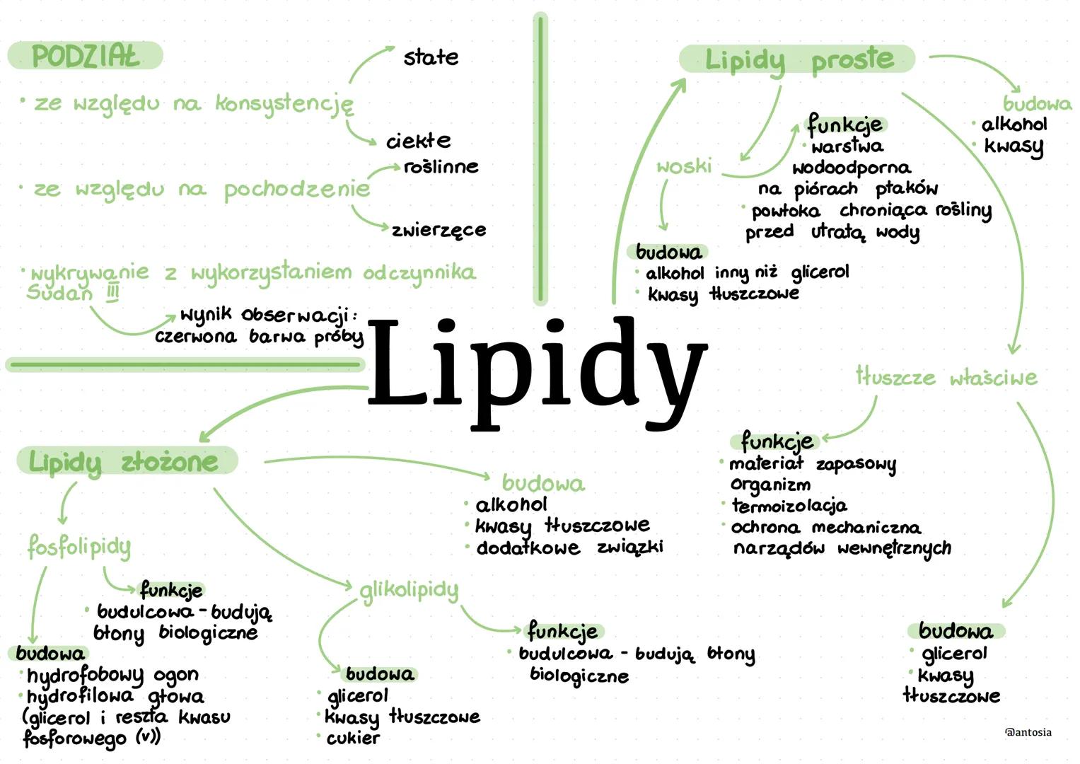 PODZIAŁ
• ze względu na konsystencję
• ze względu na pochodzenie
wynik obserwacji:
czerwona barwa próby
Lipidy złożone
fosfolipidy
zwierzęce