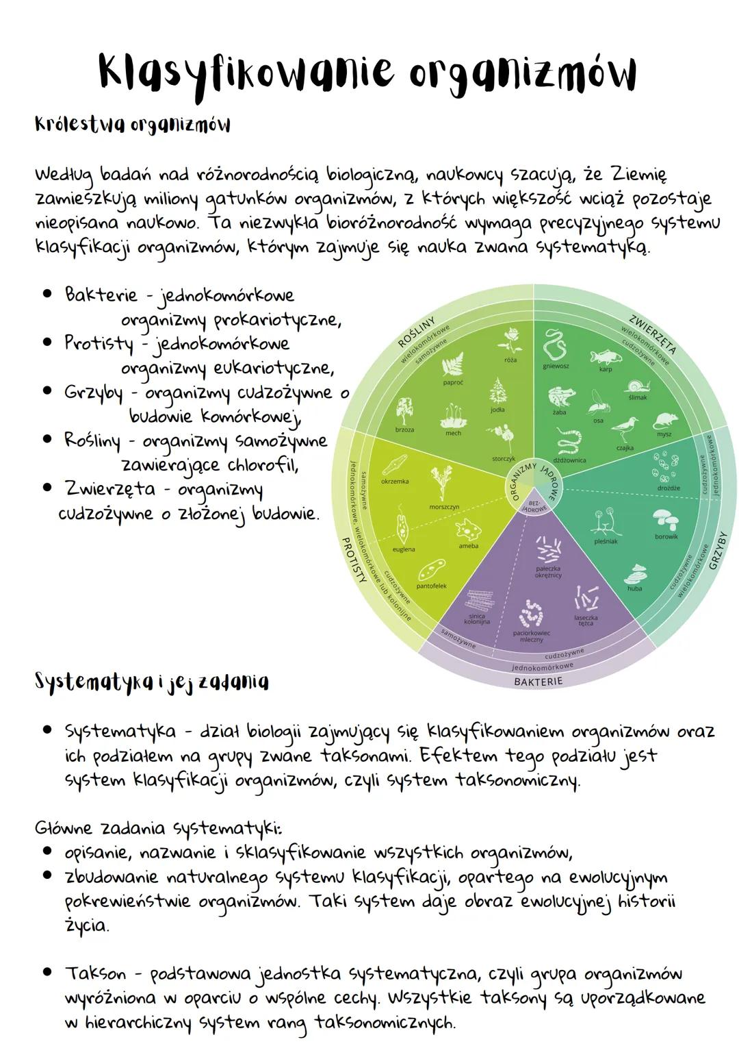 Klasyfikowanie organizmów