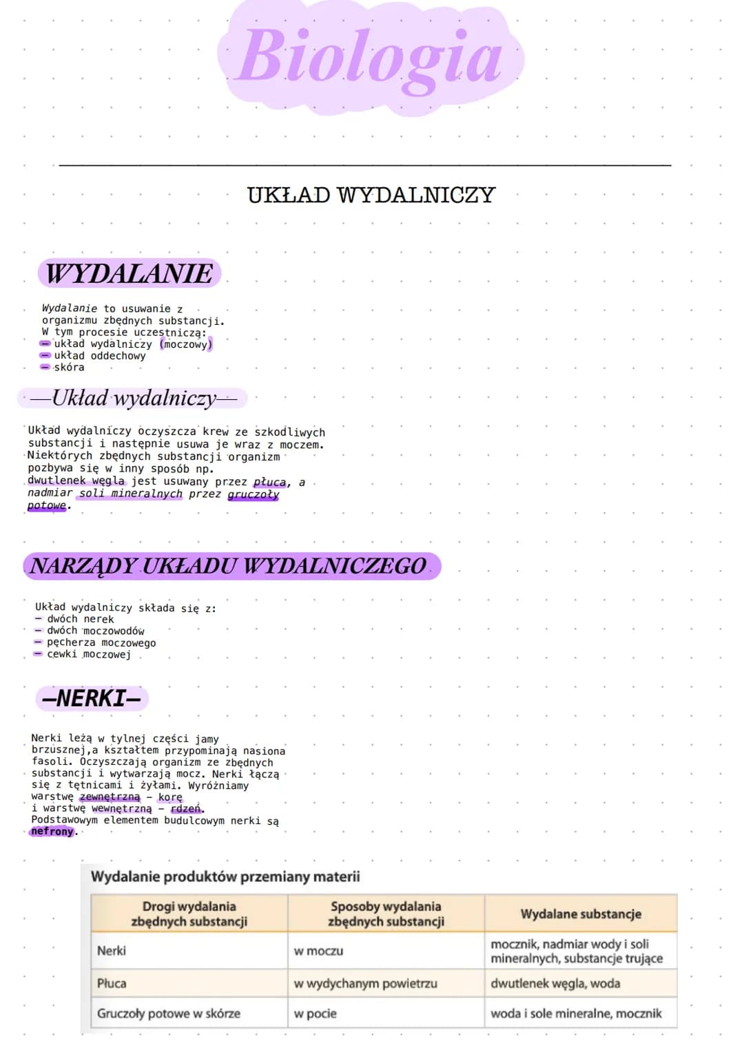WYDALANIE
Wydalanie to usuwanie z
organizmu zbędnych substancji.
W tym procesie uczestniczą:
układ wydalniczy (moczowy)
układ oddechowy
skór