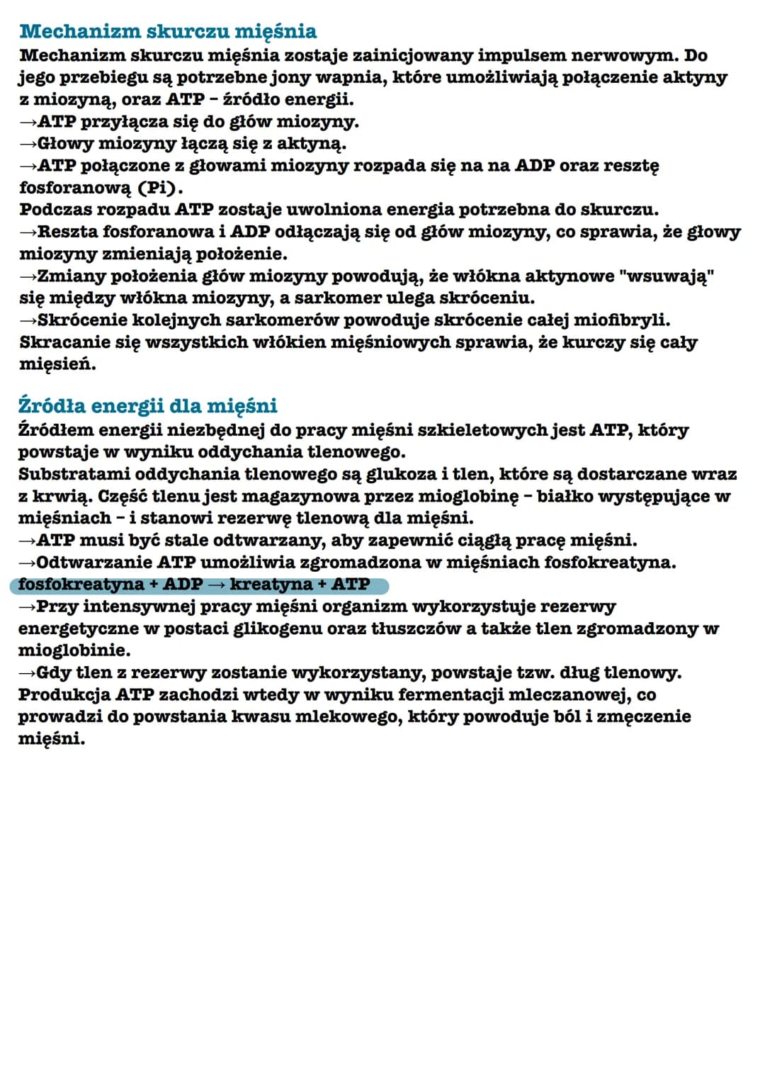 Budowa i funkcjonowanie mięśni
szkieletowych
Mięśnie szkieletowe
Mięśnie szkieletowe to czynna część aparatu ruchu, co oznacza, że to one
wp
