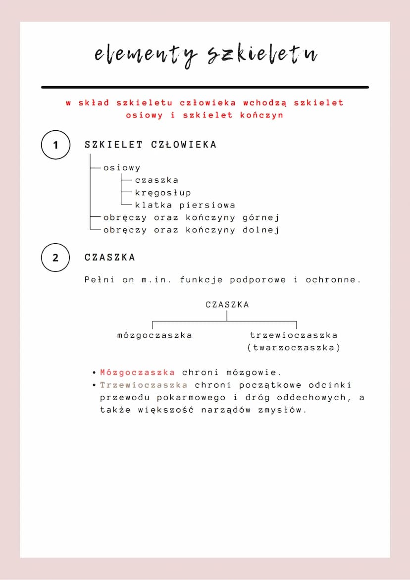 budowa i funkcje szkieletn
ruch = najłatwiej dostrzegany przejaw życia;
odbywa się on dzięki współdziałaniu szkieletu i
mięśni szkieletowych